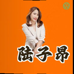 陆子昂